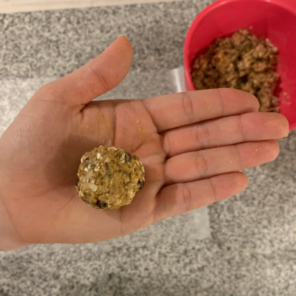 Protein Balls 4